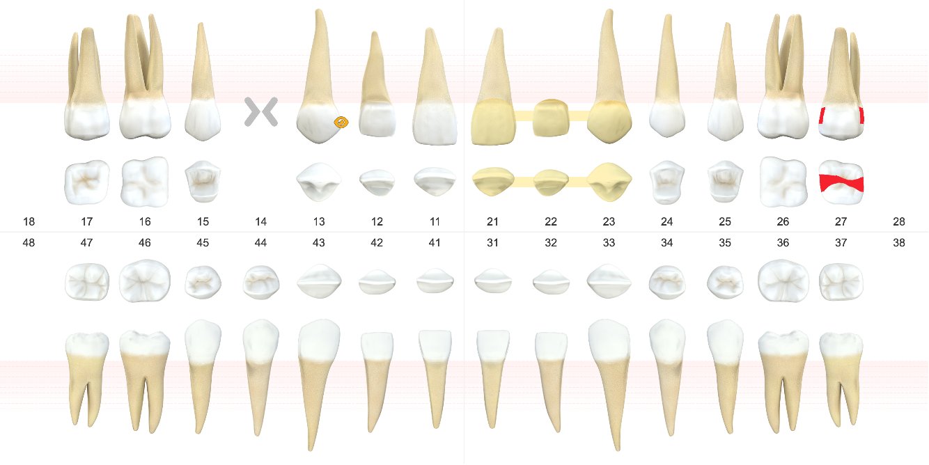 New patient offer animation